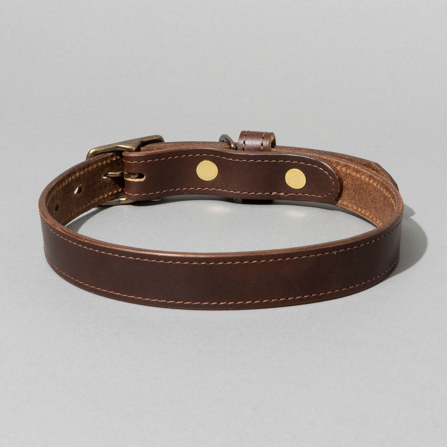 Brown leather dog collar with brass hardware on a gray background