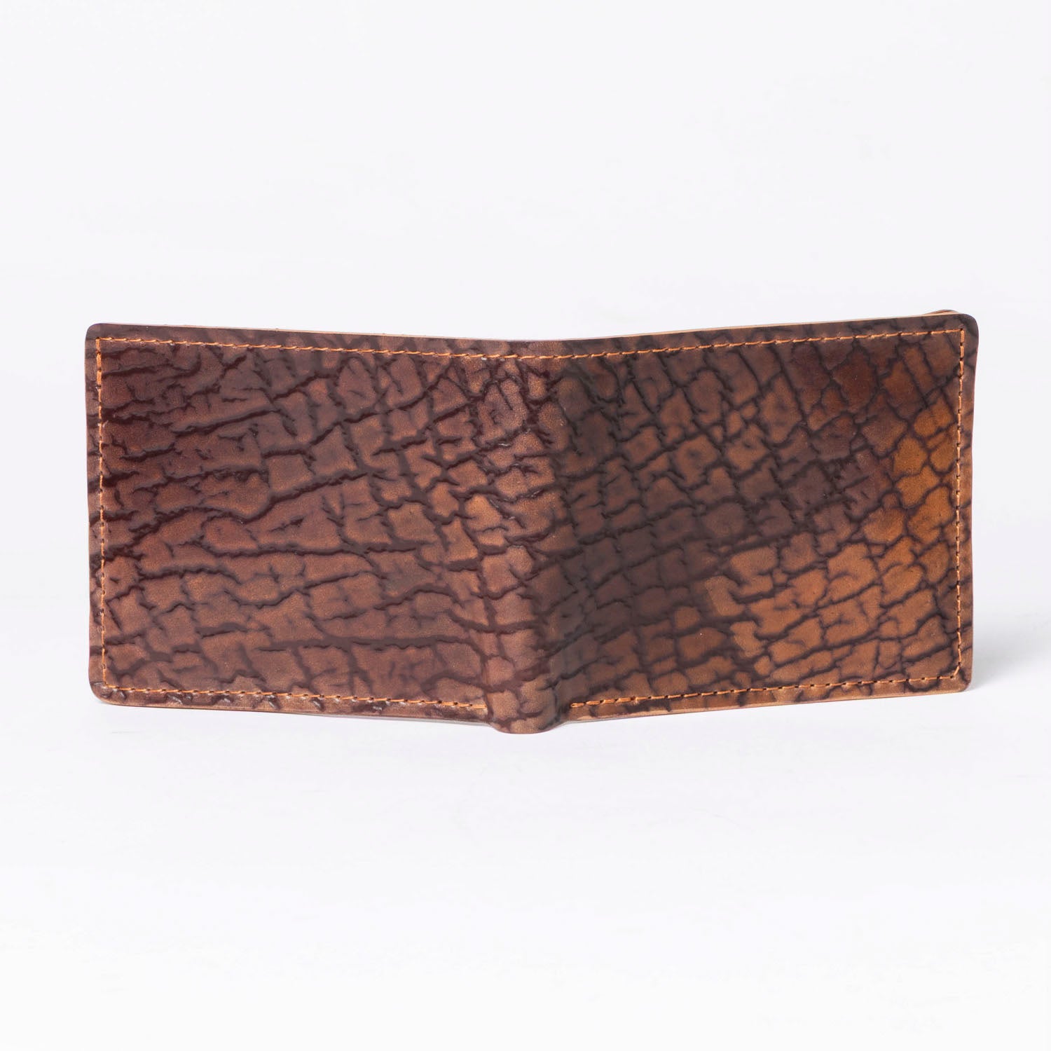 One-Off Johnny the Fox