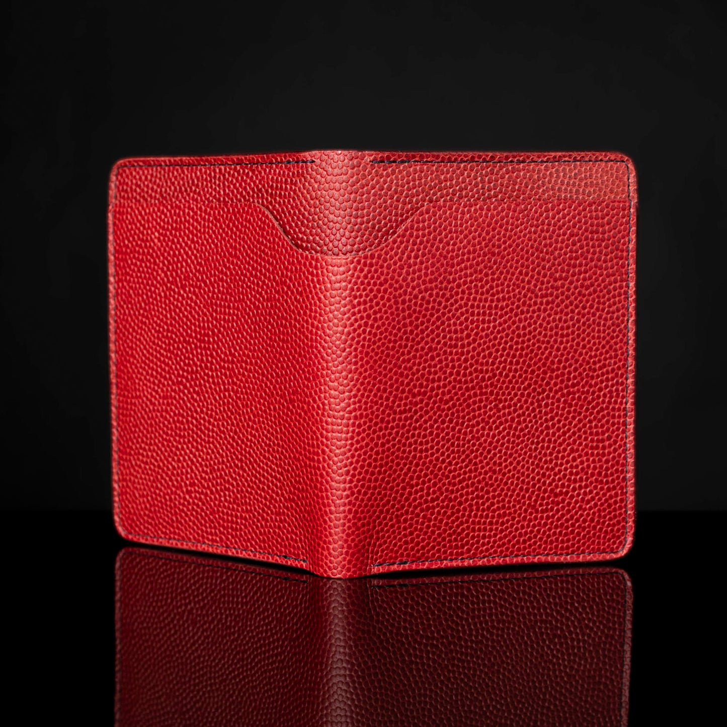 Traveler Passport Holder