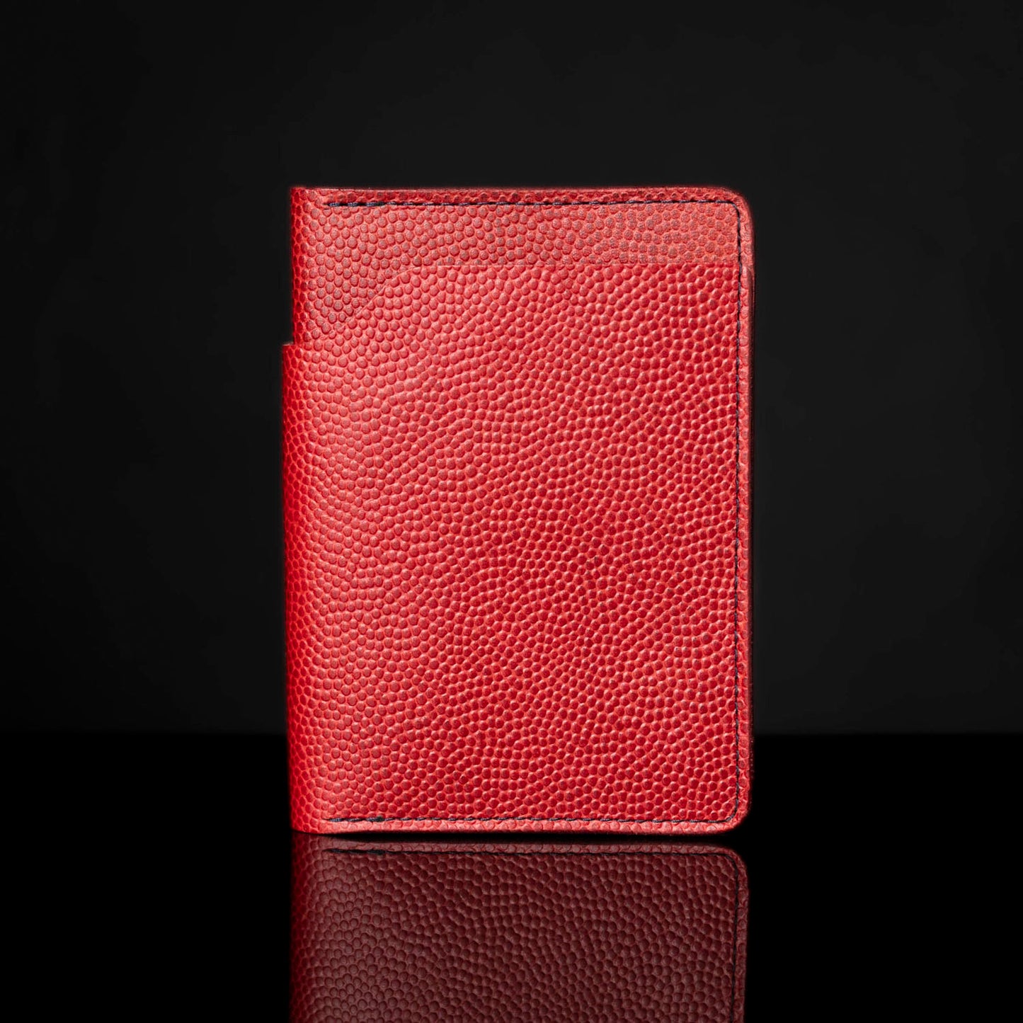 Traveler Passport Holder