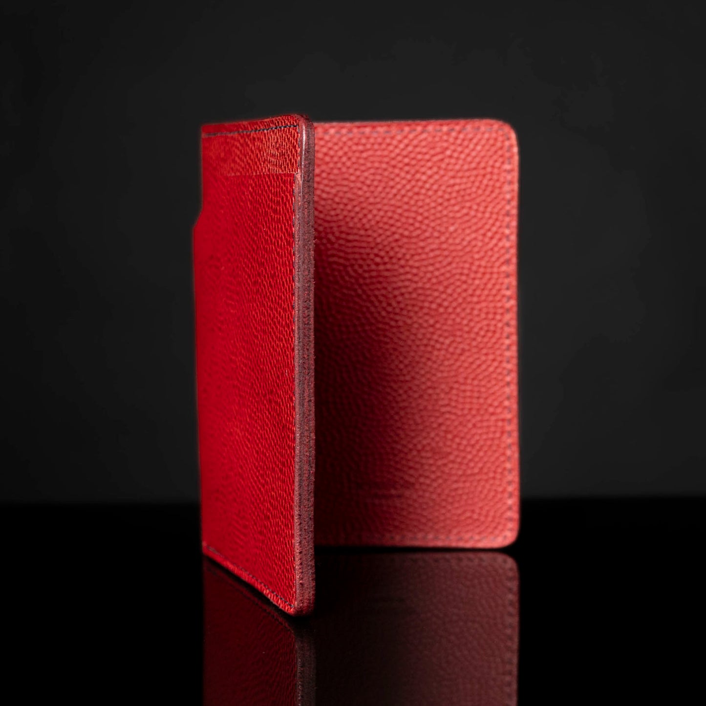Traveler Passport Holder