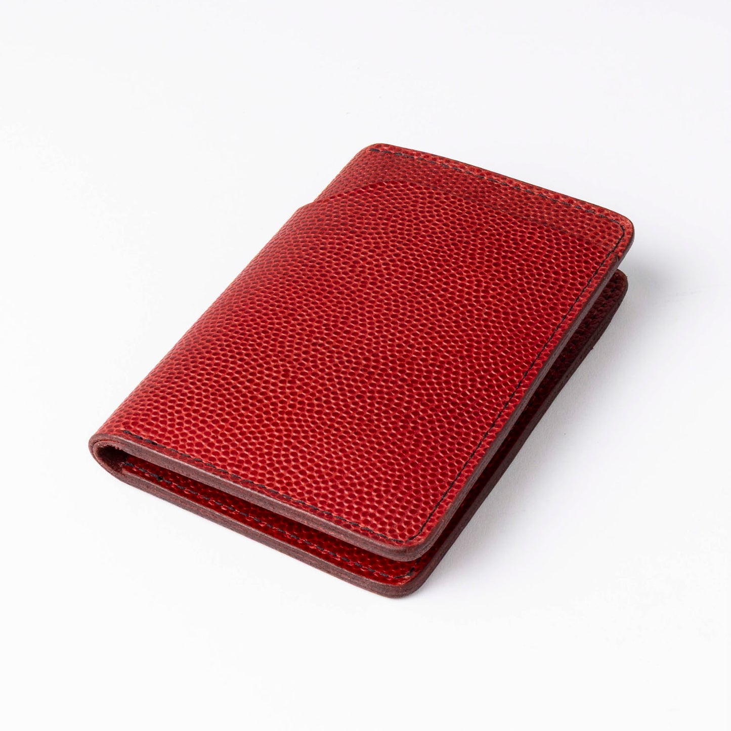 Traveler Passport Holder