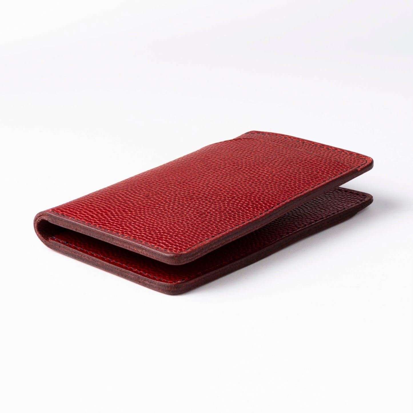 Traveler Passport Holder