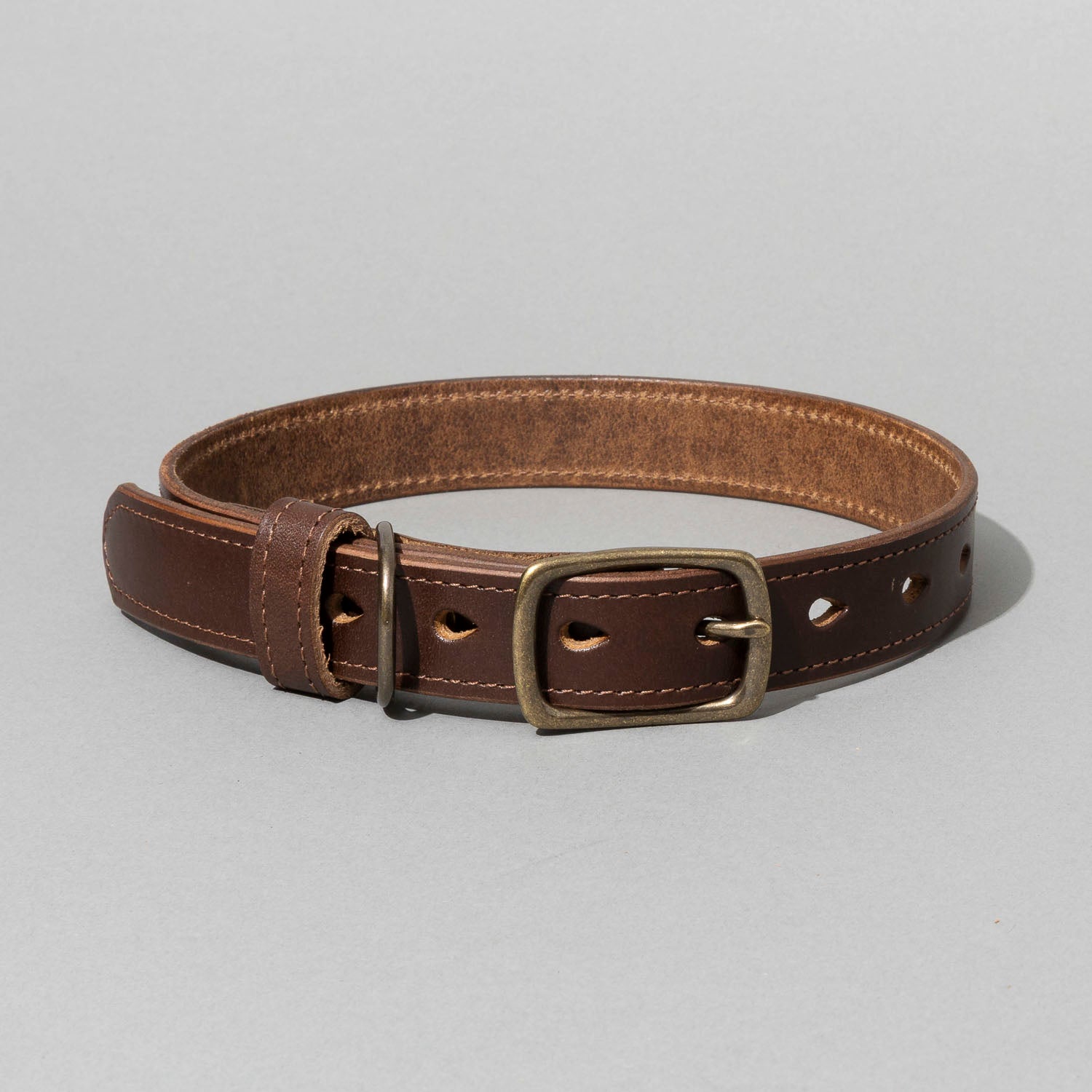 Brown leather dog collar with brass buckle on a gray background