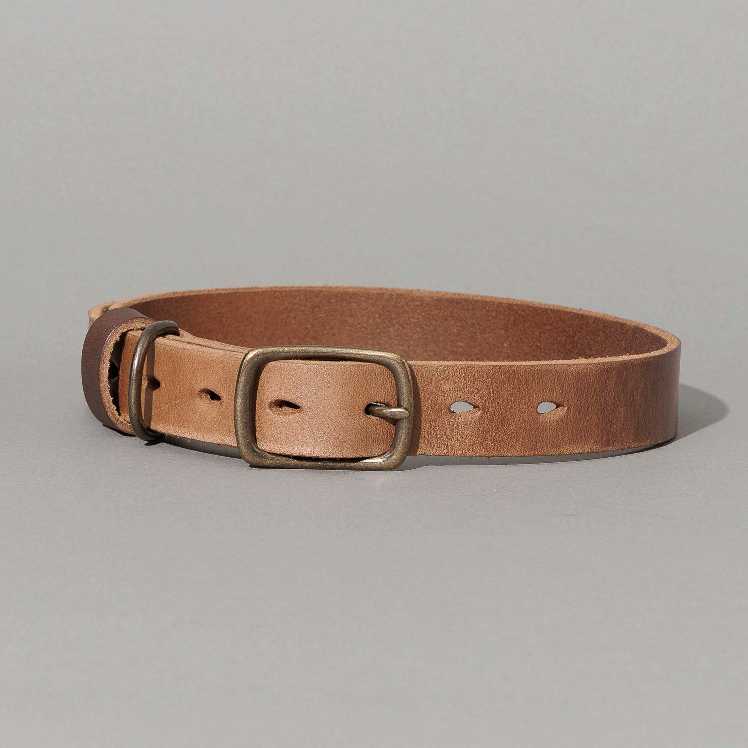 B-Grade Leather Dog Collar