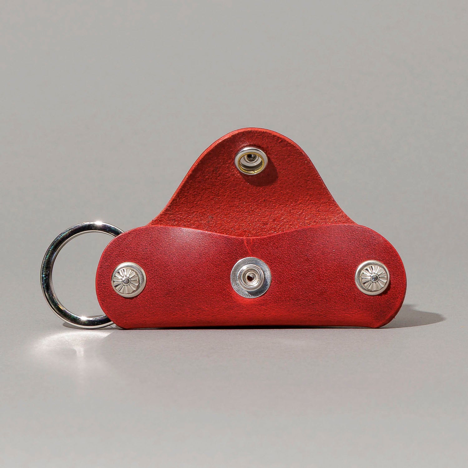 Vault Key Holder