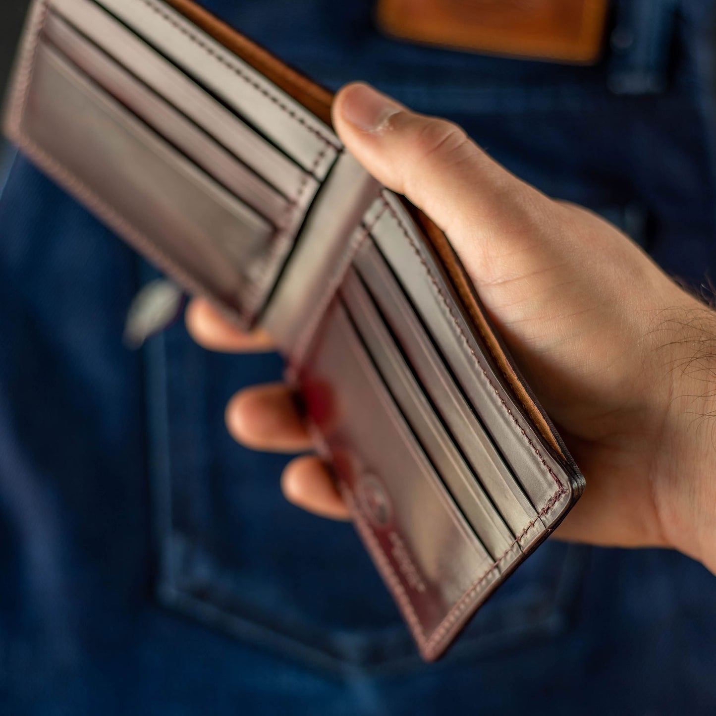 shell cordovan wallet