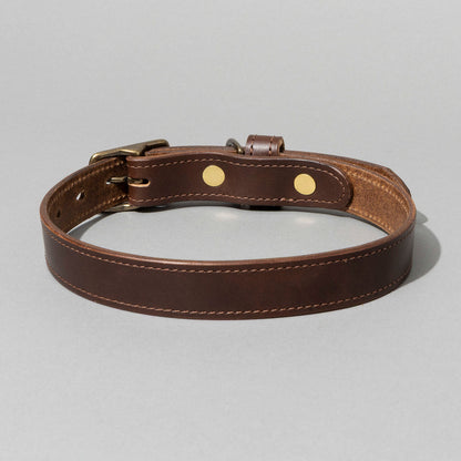 Brown leather dog collar with brass hardware on a gray background