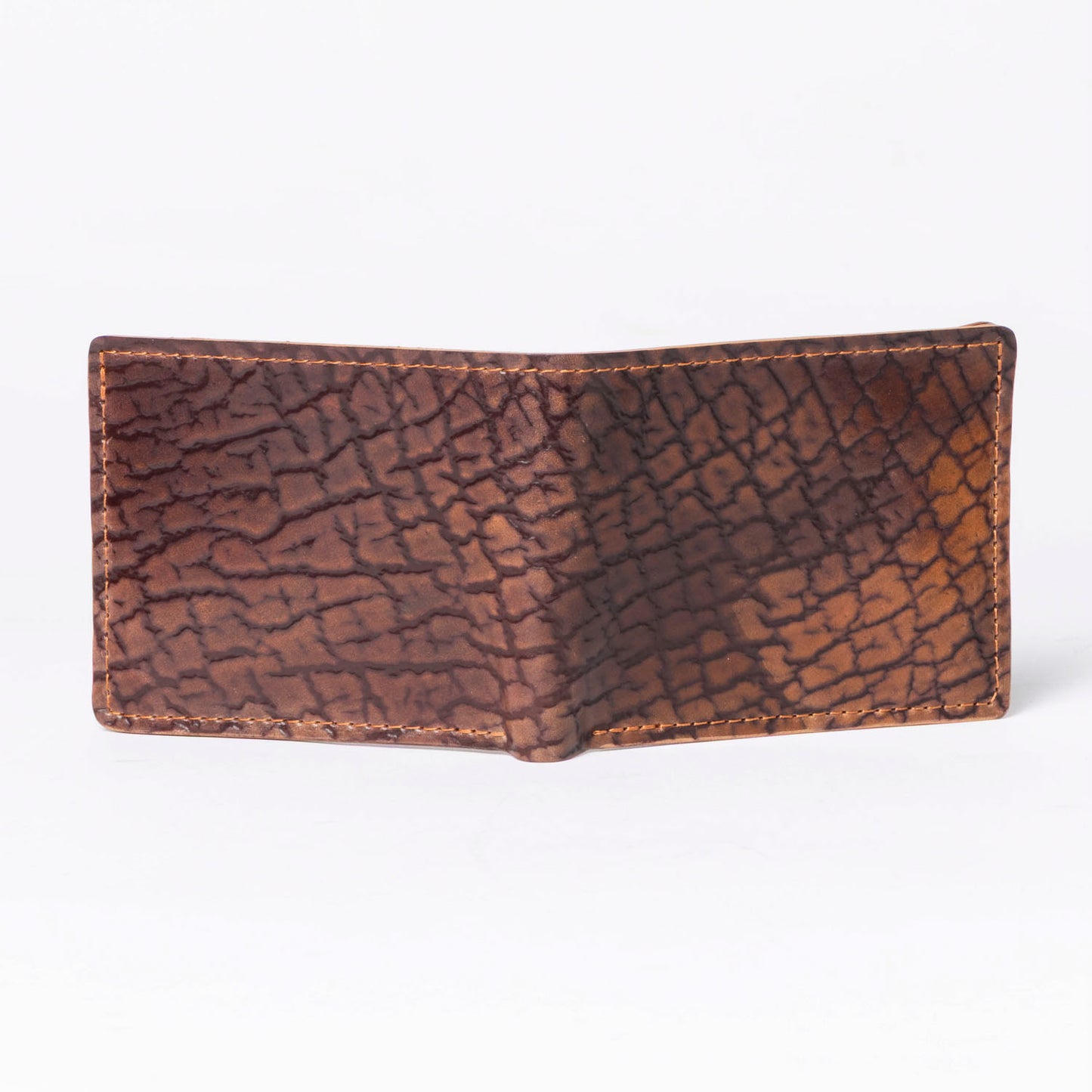 One-Off Johnny the Fox