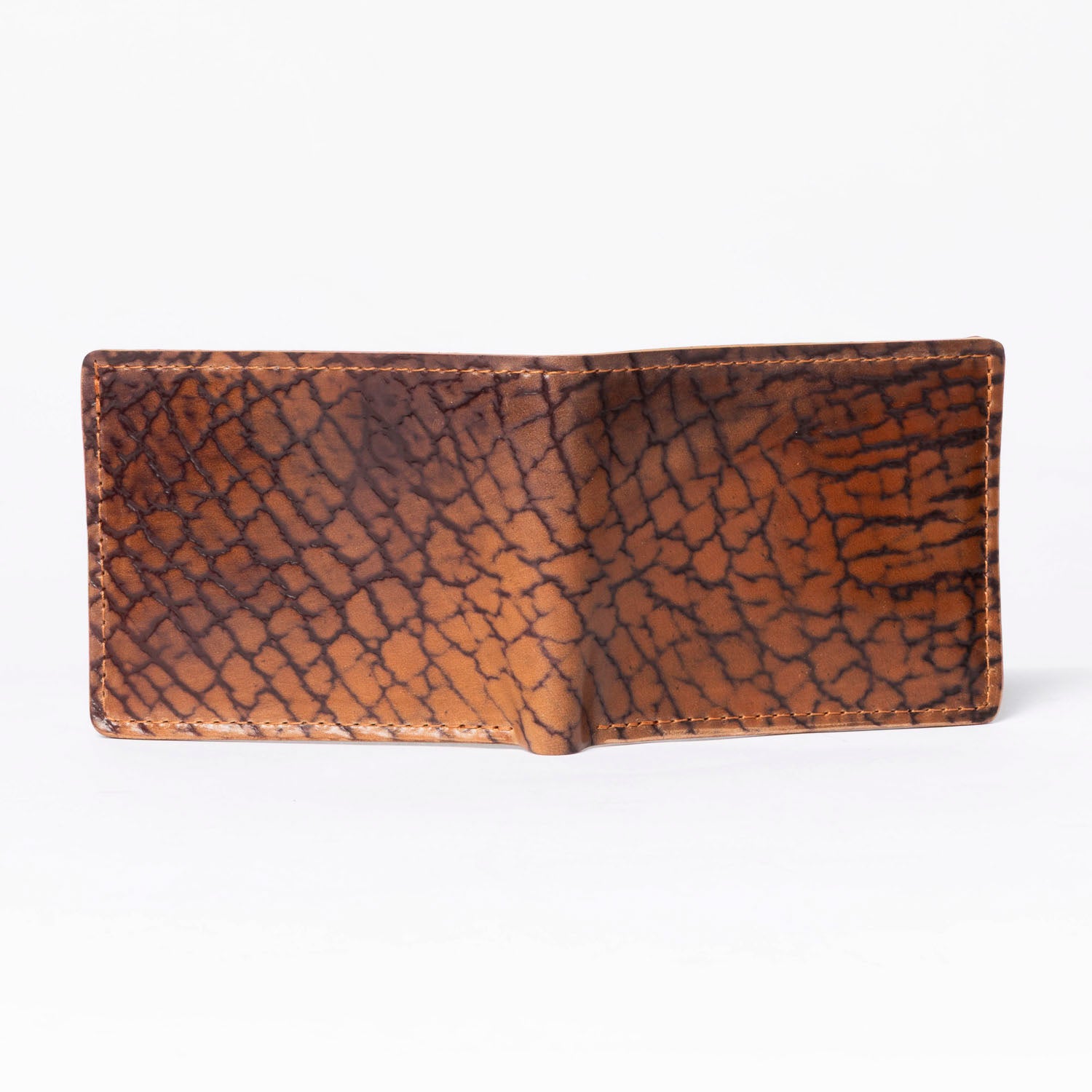 One-Off Johnny the Fox