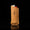 BIC Lighter