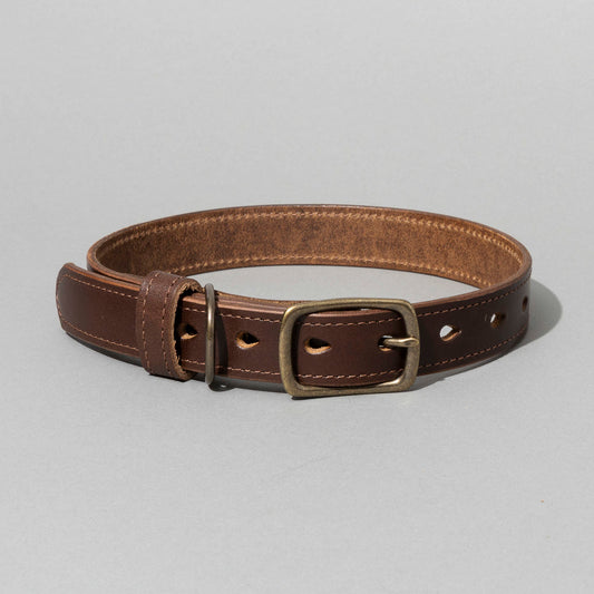 Brown leather dog collar with brass buckle on a gray background