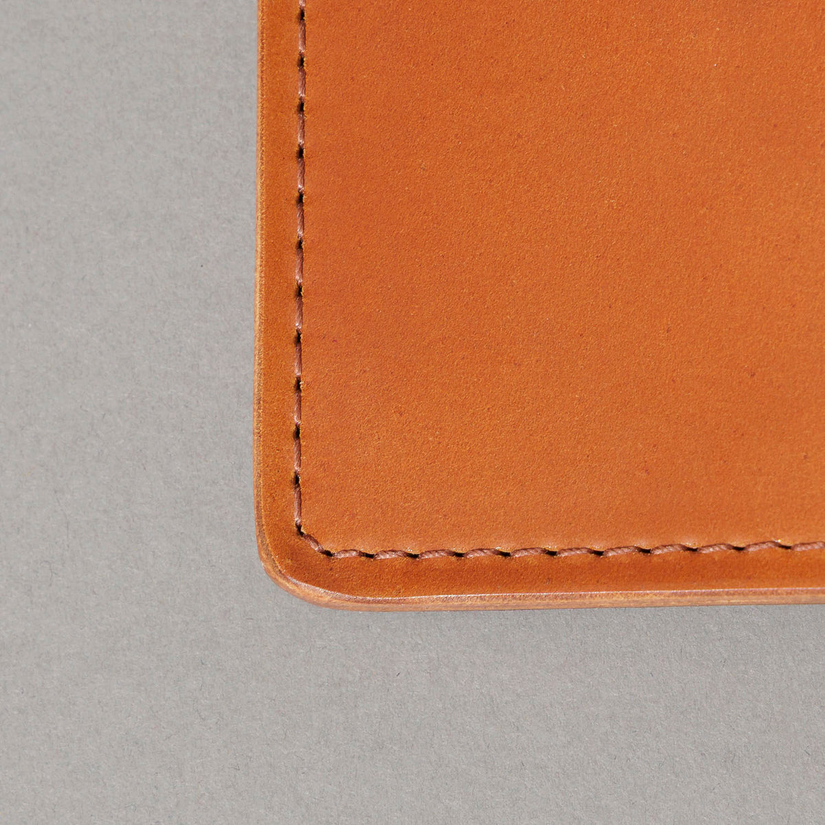 One-Off Tall Tony the Ant