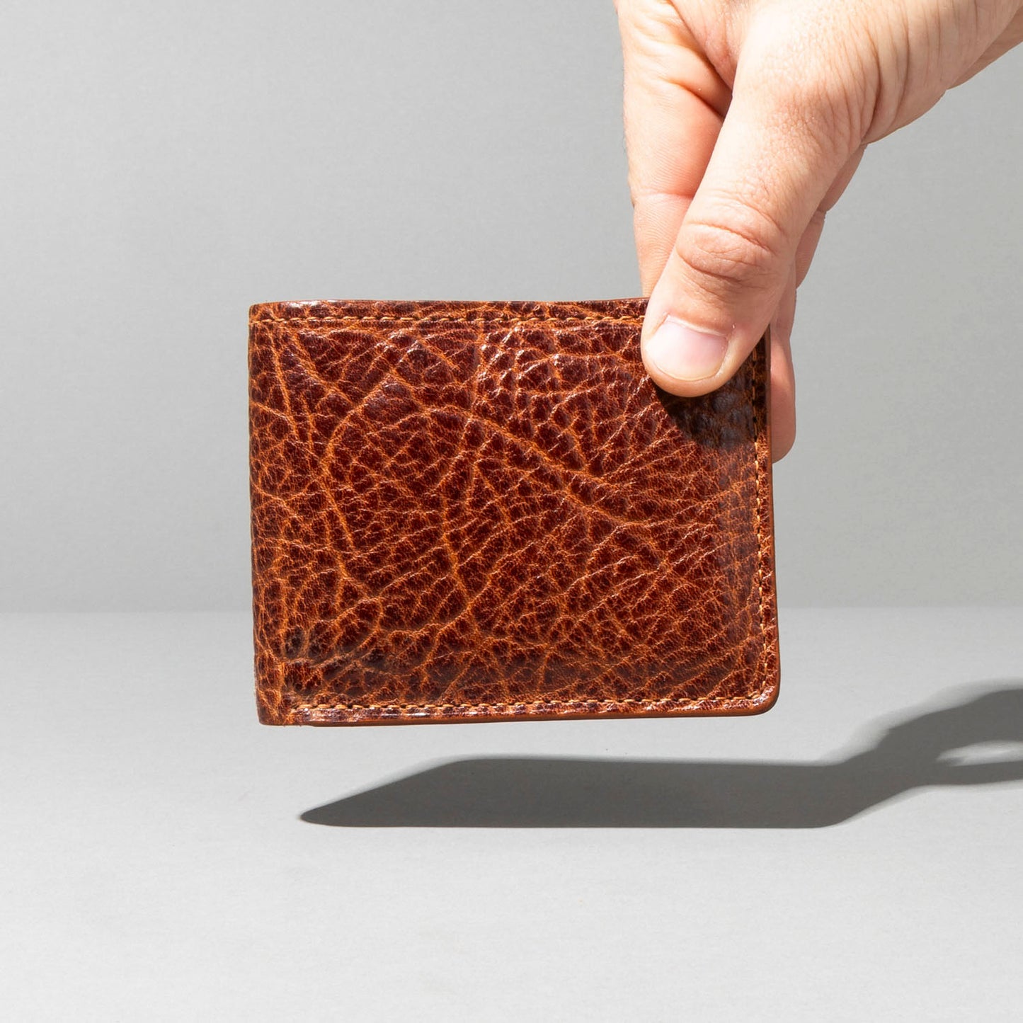 One-Off Johnny the Fox