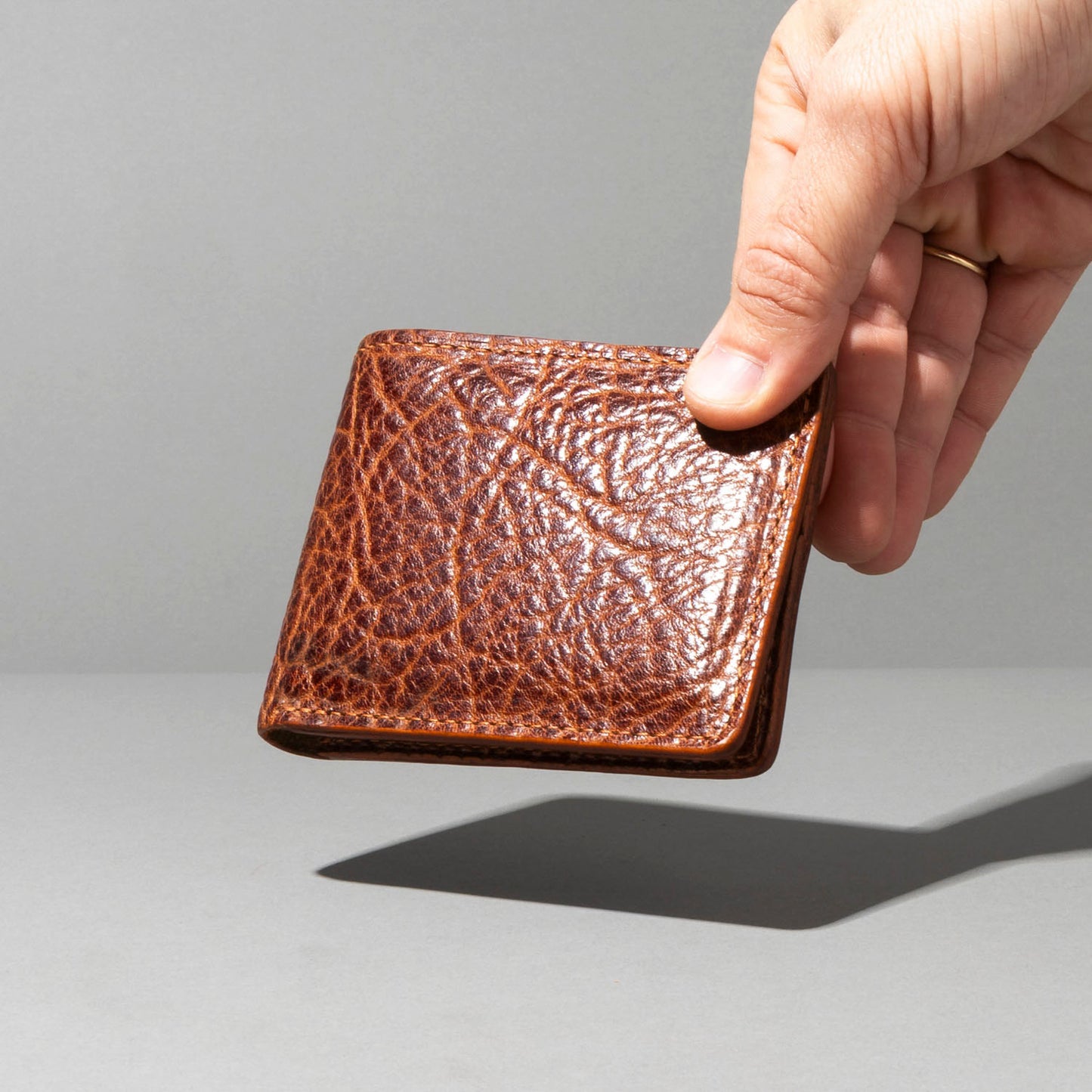 One-Off Johnny the Fox