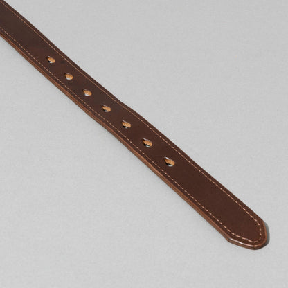 The Heritage Dog Collar