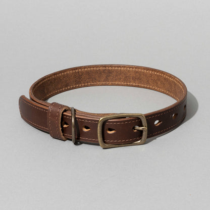 Brown leather dog collar with brass buckle on a light gray background