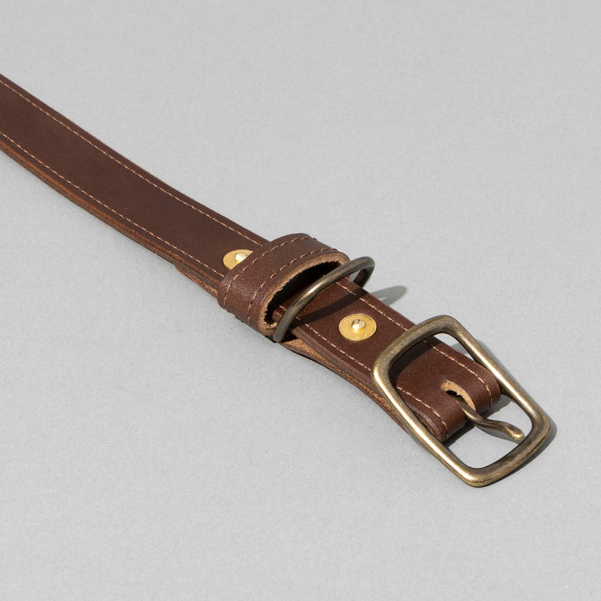Brown leather dog collar with brass buckle on a light gray background